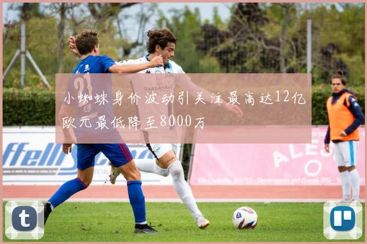 小蜘蛛身价波动引关注最高达12亿欧元最低降至8000万